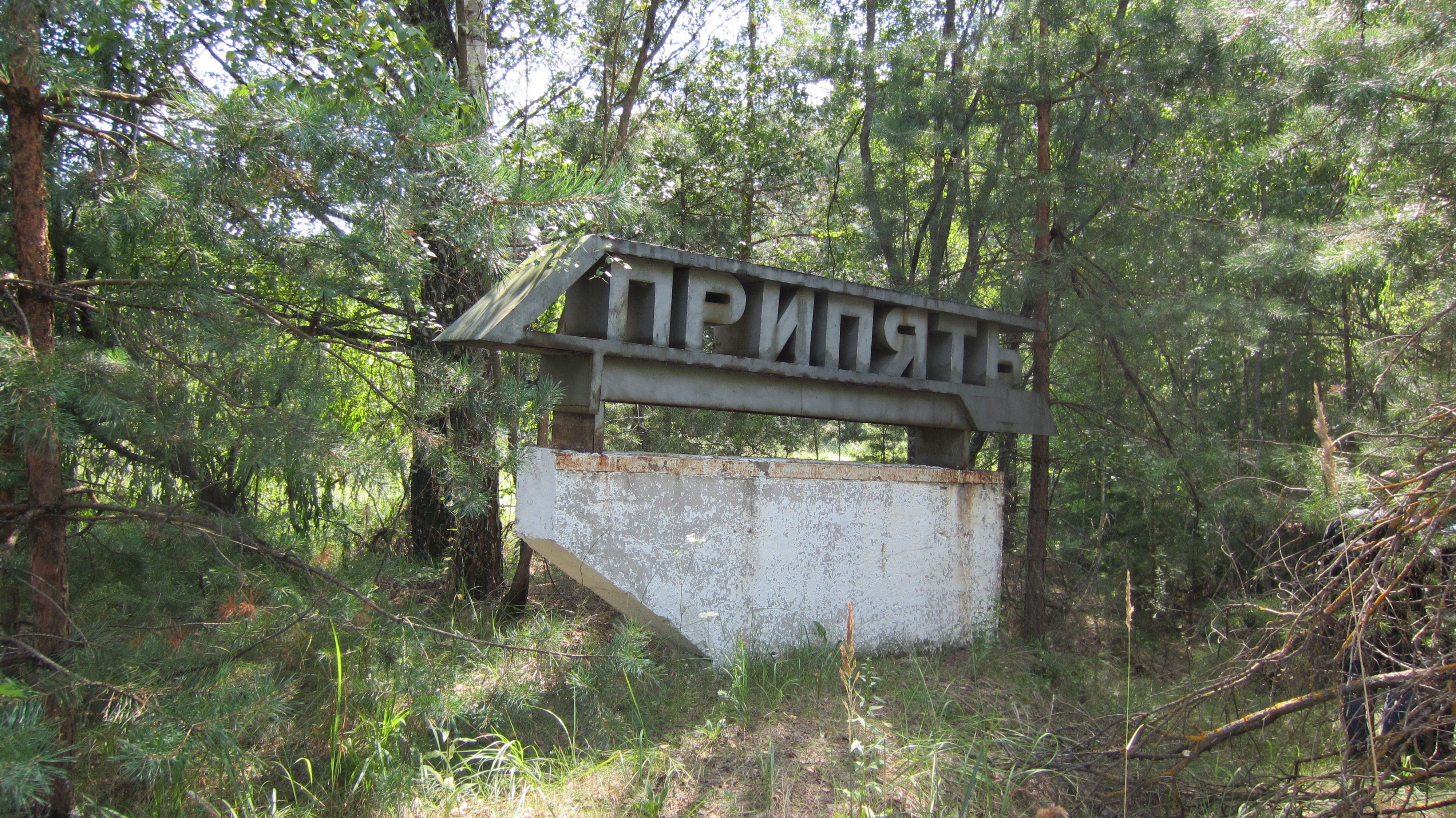 У Чорнобильській зоні горить трава неподалік АЕС
