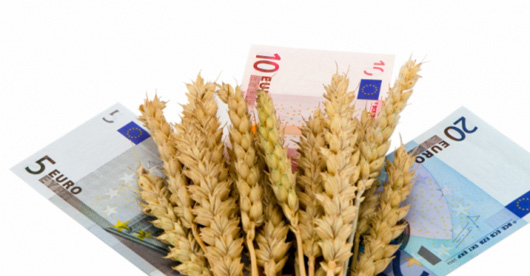 Рівноцінне партнерство: що дасть кредит Європейського інвестиційного банку українським аграріям