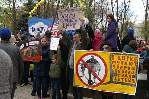 У Києві активісти вимагали заборонити циркових тварин (відео)