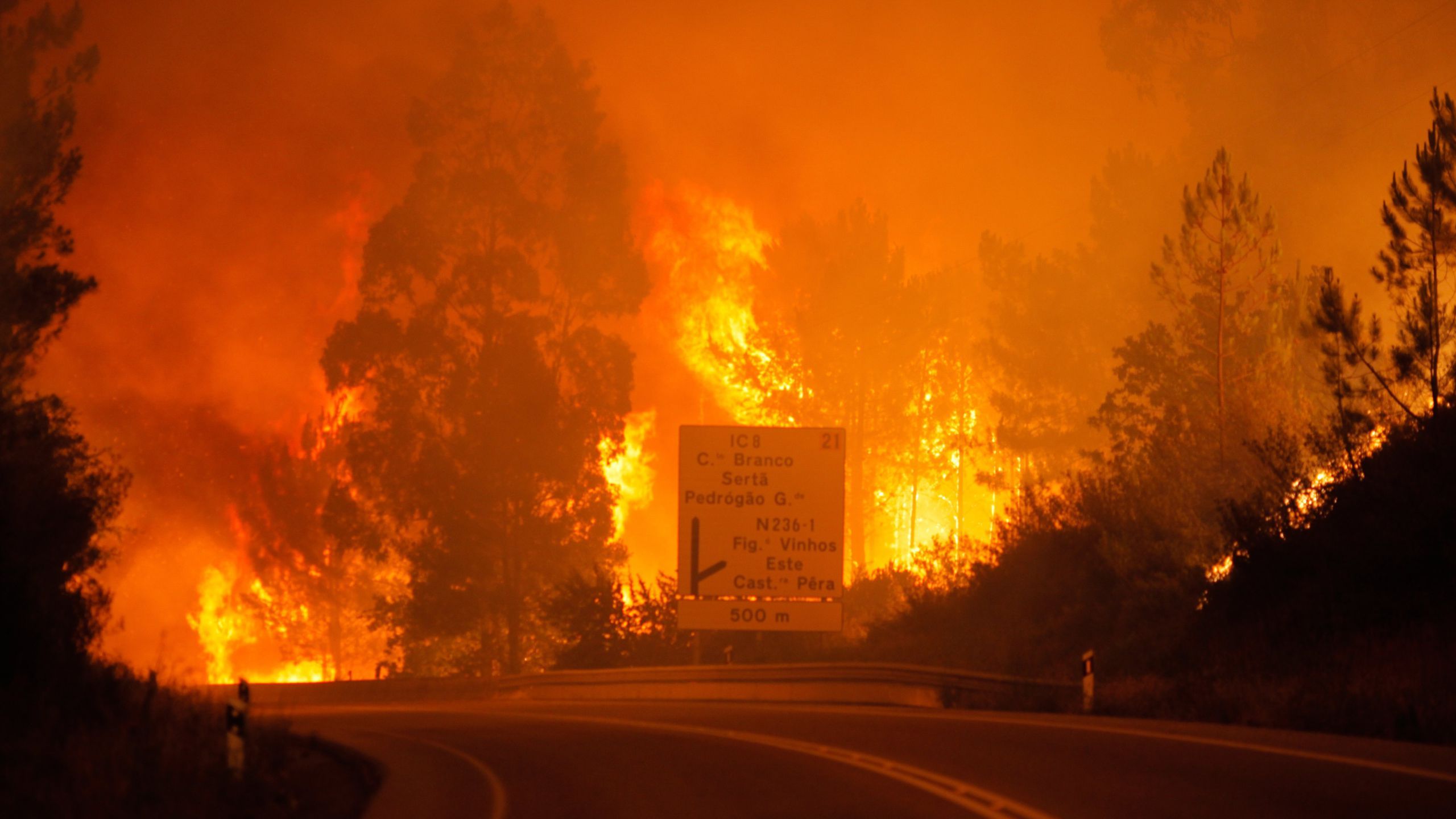 У Португалії вирують масштабні пожежі, у яких загинуло 43 людини