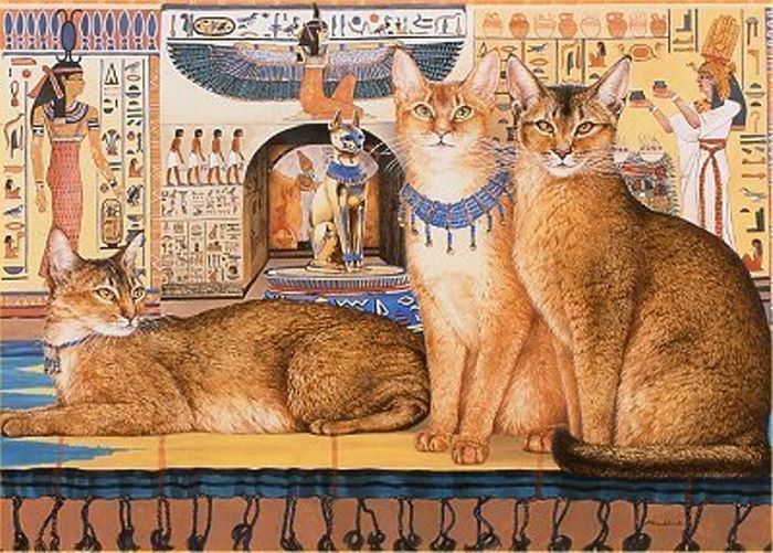 Кішки «одомашнилися» на Стародавньому Сході 9 тисяч років тому