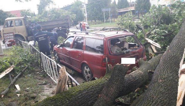 У Львові вирує негода: повалені дерева і пошкоджені авто (фото)