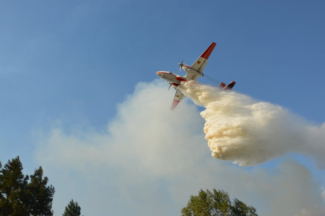 На Дніпропетровщині гасять велику лісову пожежу вже добу (відео)