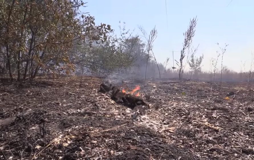 На Світлодарській дузі окупанти підпалили степ і ліс (відео)