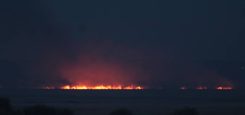 В Одеській області підпалили Нижньодністровський національний парк