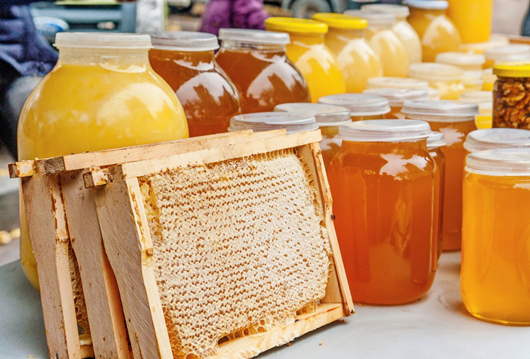 Діжка меду не без ложки дьогтю: де заготовляти якісні бджолині дарунки