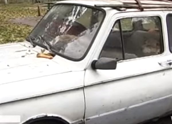 Черкаський собака має власний автомобіль