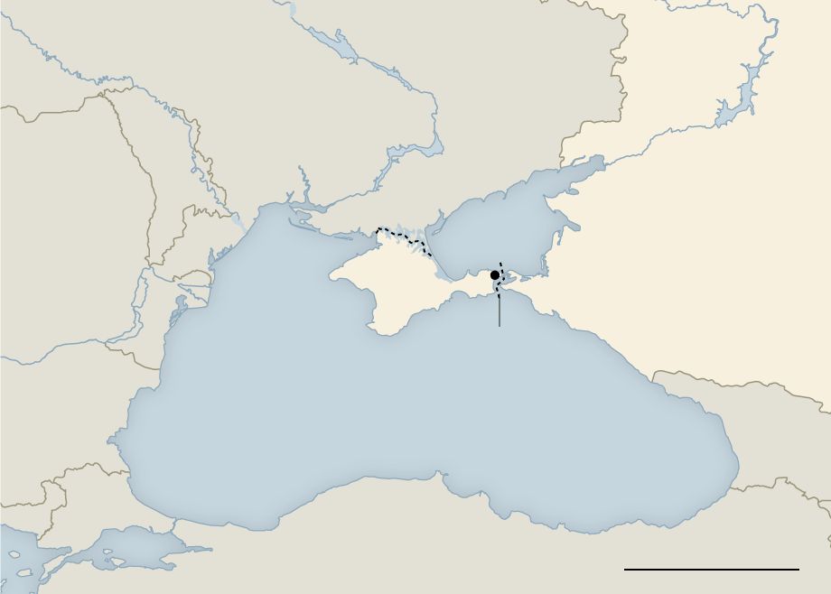 New York Times опублікувало карту, де Крим позначено одним кольором із Росією