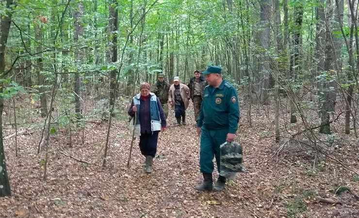 У Білорусі затримали 3 громадян України, які перетнули кордон під час збору ягід