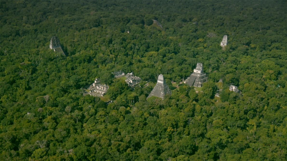 У Гватемалі виявили загублене місто майя (фото)
