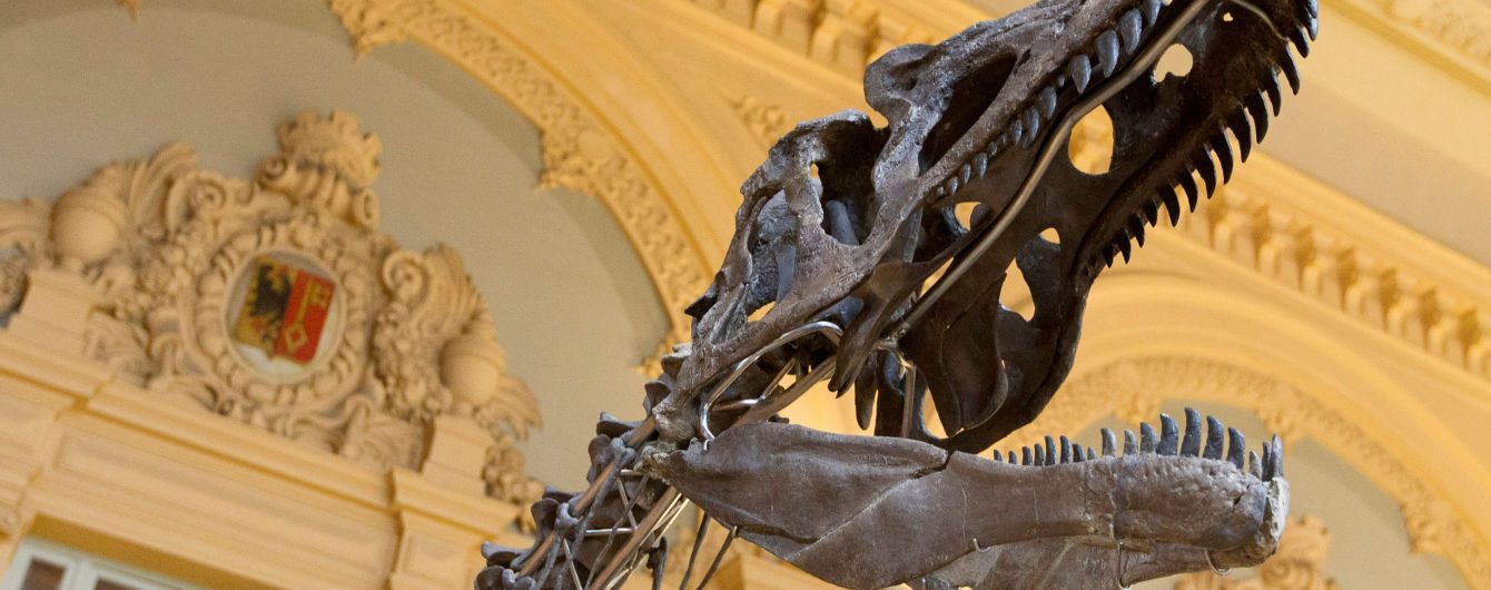У Парижі продали два скелети динозаврів за понад 1,4 млн євро