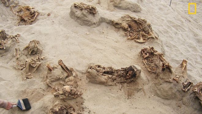 У Перу знайшли масове поховання близько 140 дітей, яких вбили під час жертвоприношення