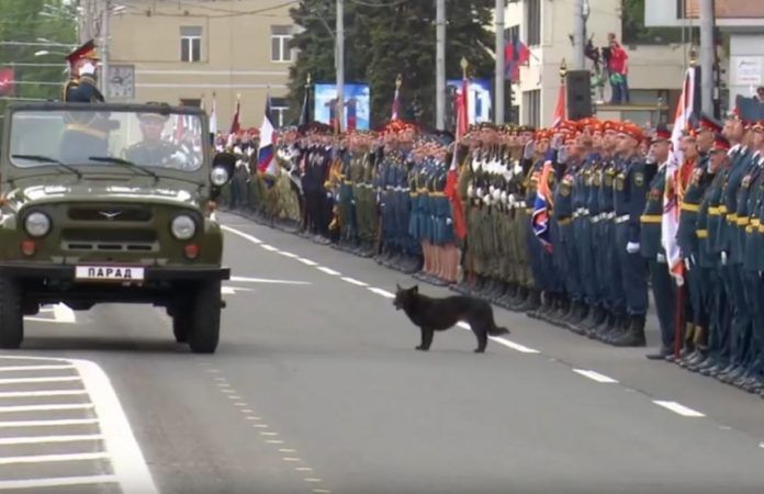 Служба безпеки України займеться ЗМІ, які транслювали "парад" з ДНР