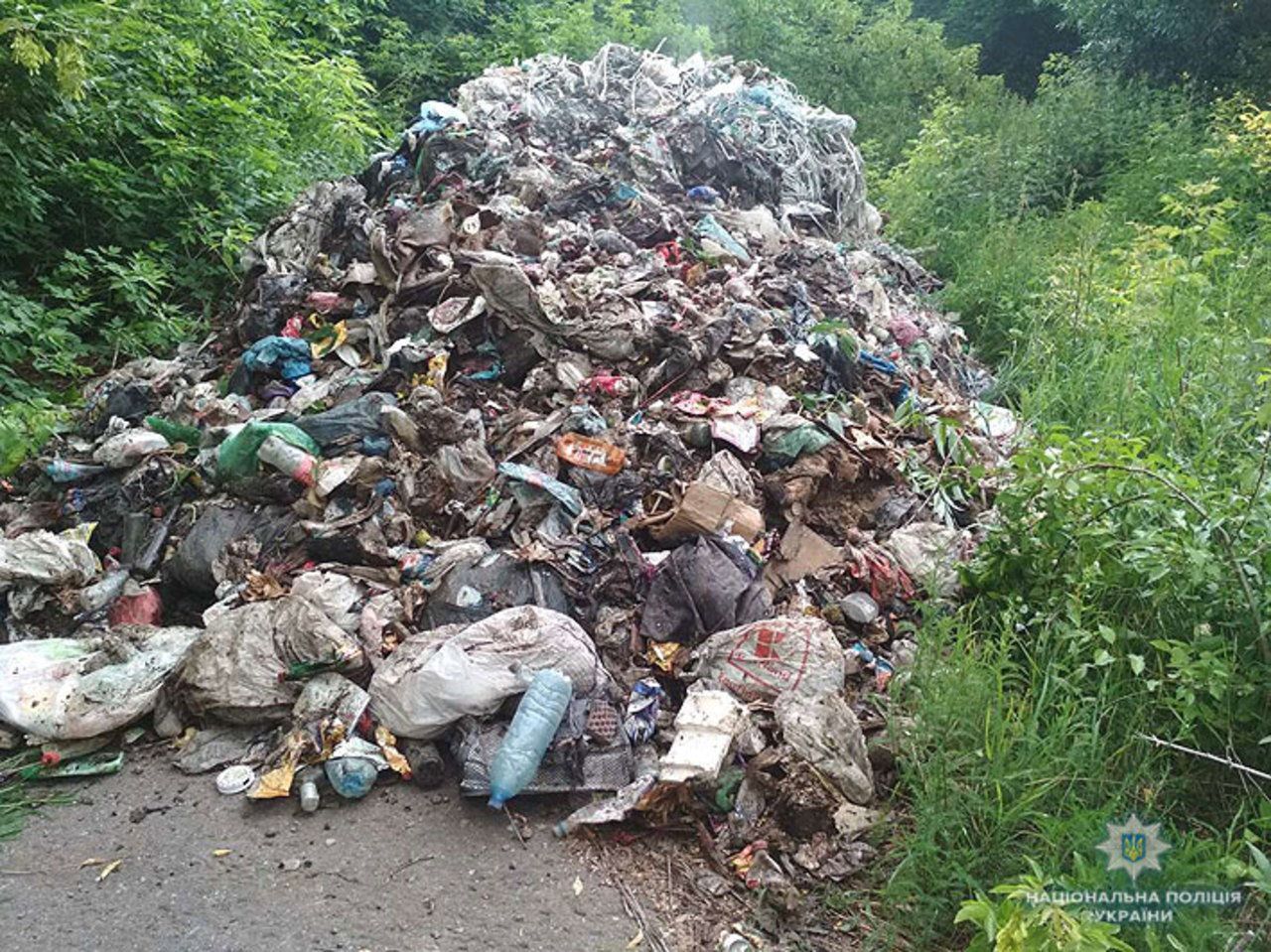 На Чернігівщині вивалили 12 тонн львівського сміття