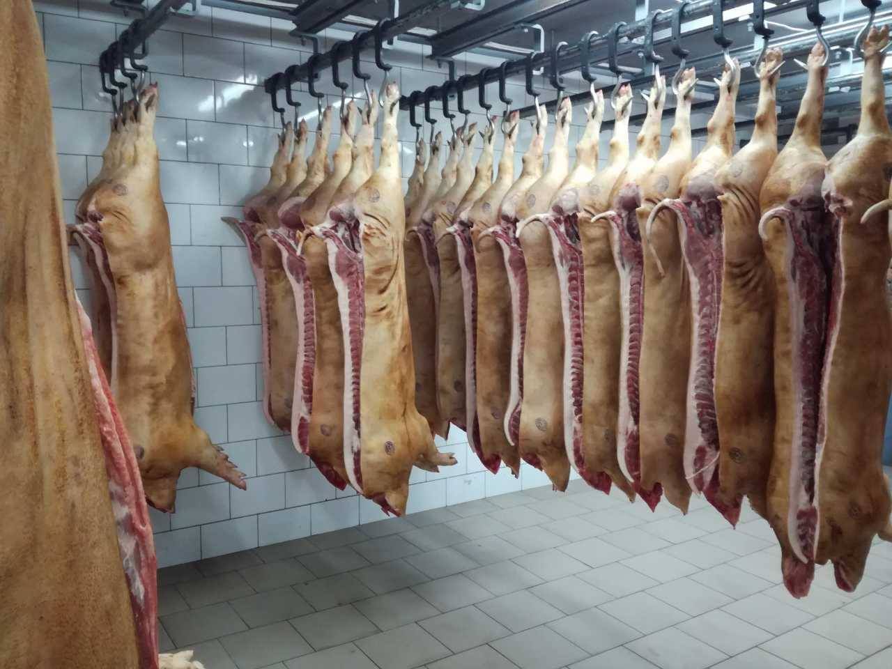 Туреччина після перевірки забійних підприємств вирішила купувати в Україні м'ясо