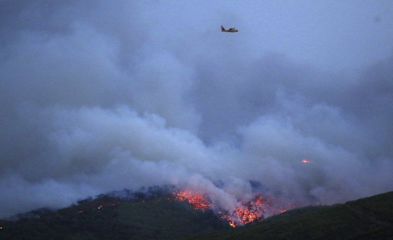Масштабні пожежі у Греції вбили 20 людей, 69 постраждалих