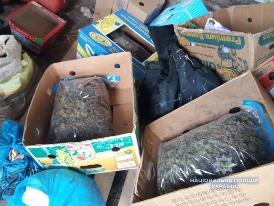 Біля Ужгорода у фермера знайшли 130 кілограмів висушеної марихуани