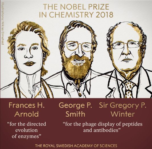Нобелівську премію з хімії присудили за дослідження еволюції ферментів та антитіл