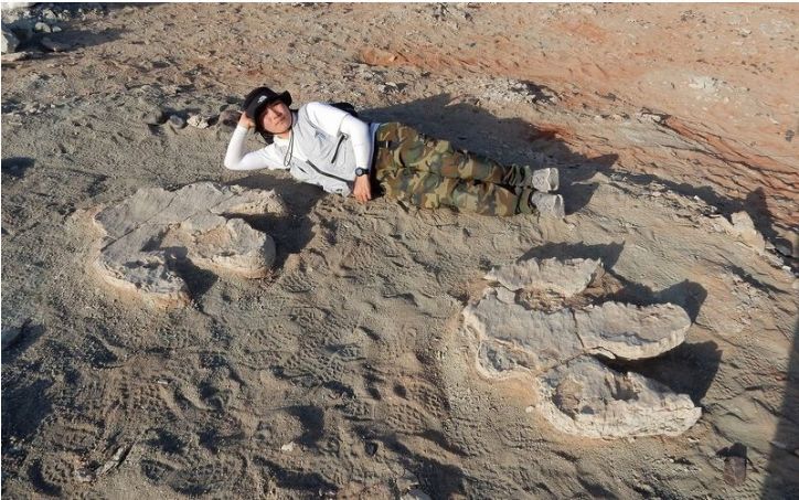 У пустелі Гобі знайшли скелет 17-метрового динозавра віком 70 мільйонів років