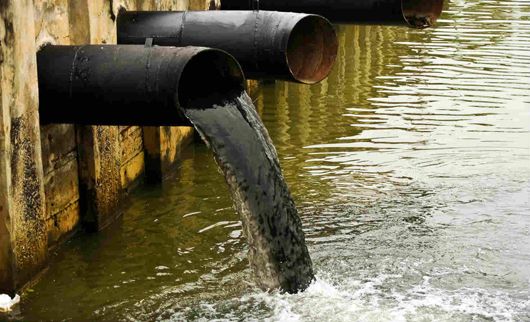 У районі Черкас Дніпро забруднено хімічними сполуками: річка більше не самоочищується