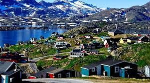 На льодовиковому щиті Гренландії квітне рослинність: кліматологи б’ють тривогу